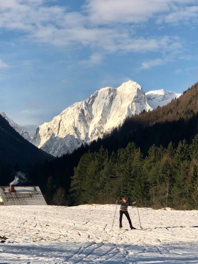 Apartma Stenar Mojstrana Exteriér fotografie