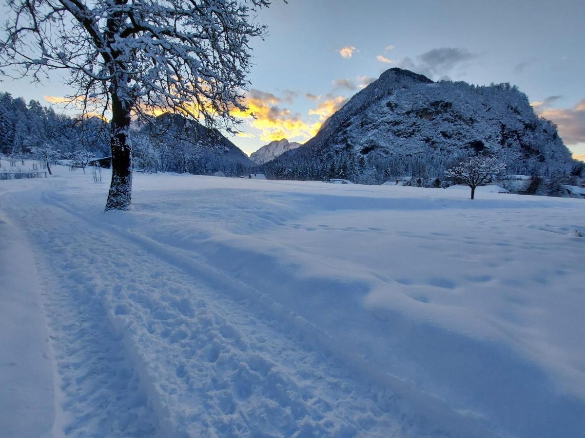Apartma Stenar Mojstrana Exteriér fotografie
