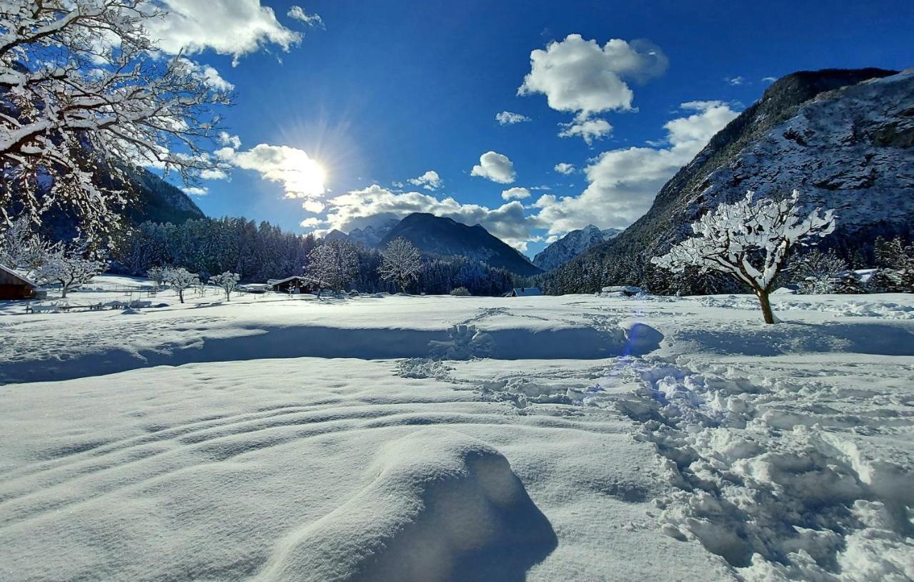 Apartma Stenar Mojstrana Exteriér fotografie