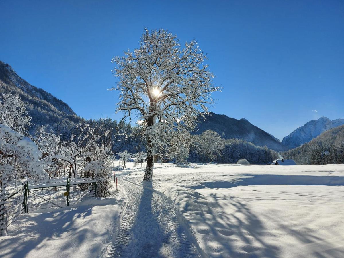 Apartma Stenar Mojstrana Exteriér fotografie