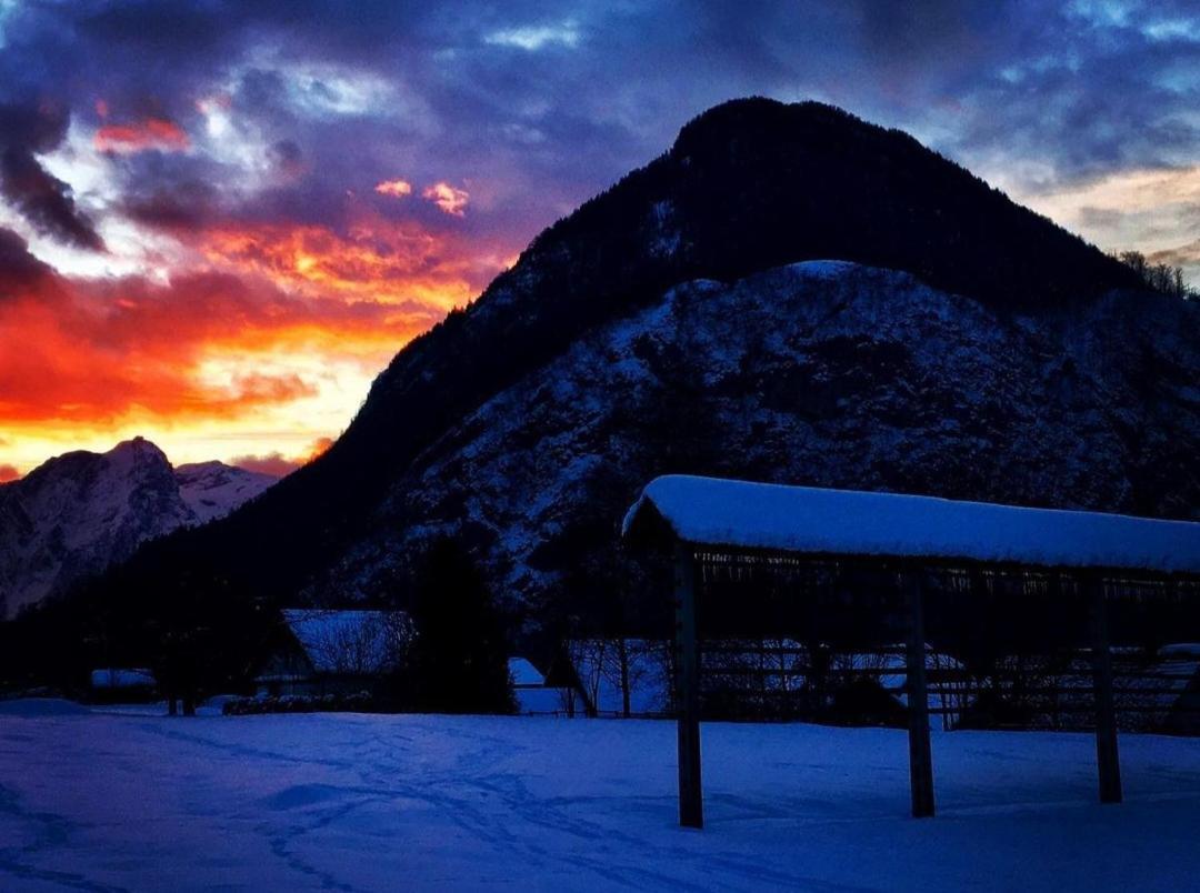 Apartma Stenar Mojstrana Exteriér fotografie