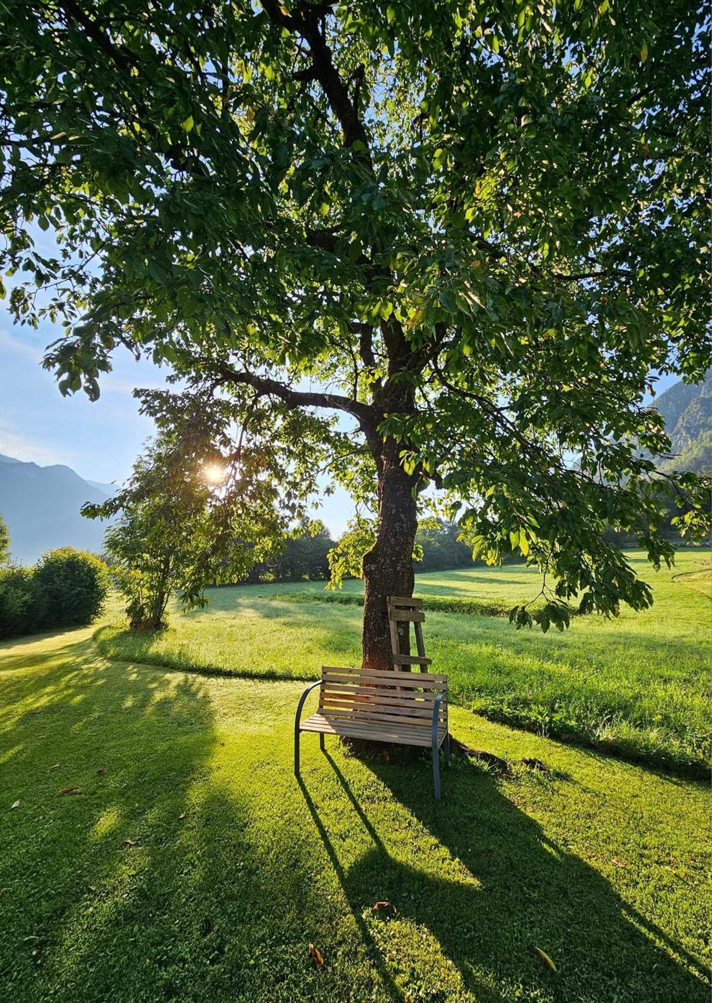 Apartma Stenar Mojstrana Exteriér fotografie