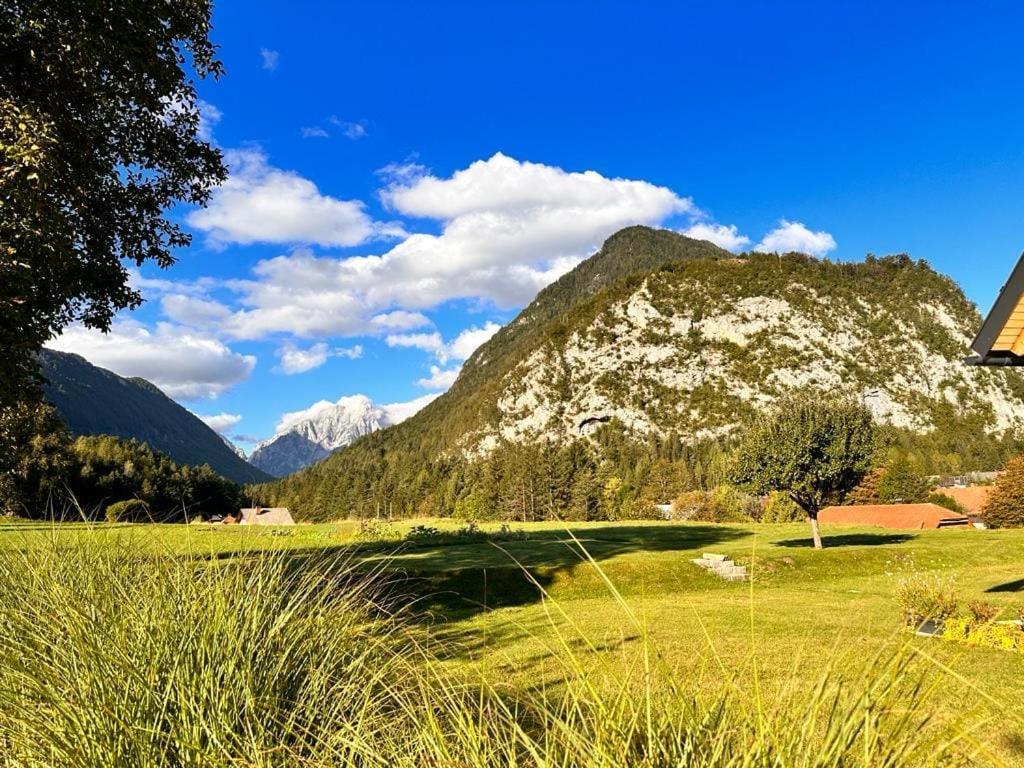 Apartma Stenar Mojstrana Exteriér fotografie