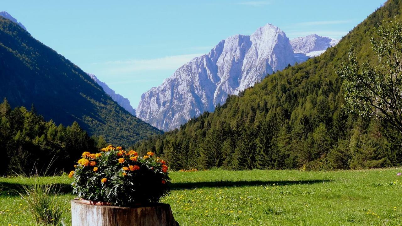Apartma Stenar Mojstrana Exteriér fotografie