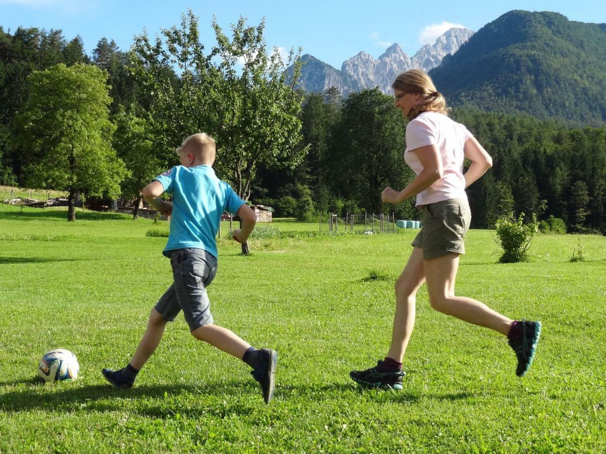 Apartma Stenar Mojstrana Exteriér fotografie