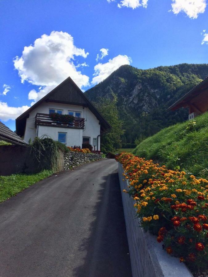 Apartma Stenar Mojstrana Exteriér fotografie