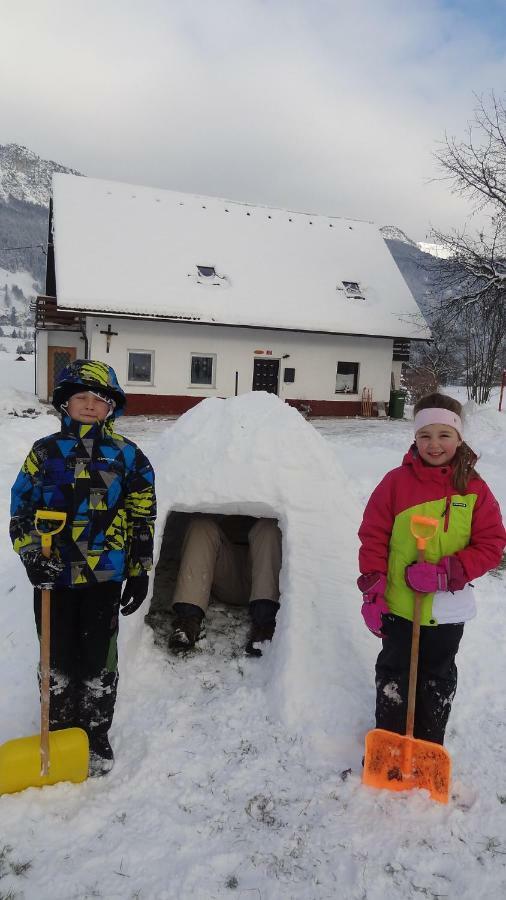 Apartma Stenar Mojstrana Exteriér fotografie