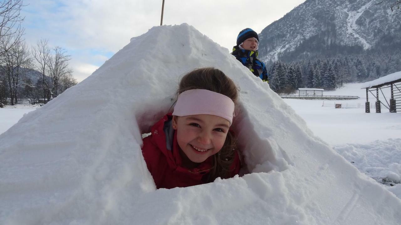 Apartma Stenar Mojstrana Exteriér fotografie