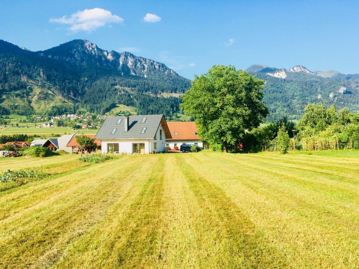 Apartma Stenar Mojstrana Exteriér fotografie